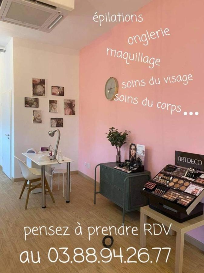 La Maison ERNENWEIN Obermodern Extérieur photo